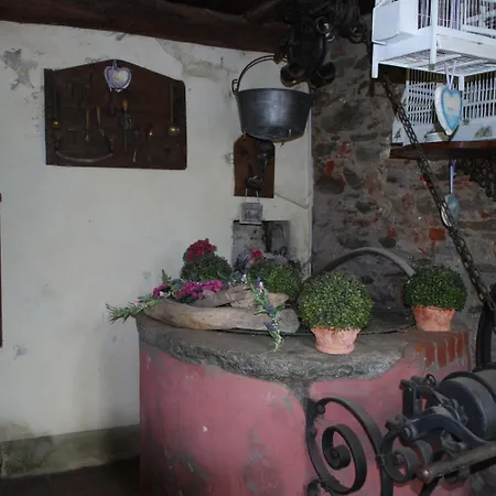 La Curandera Rosta