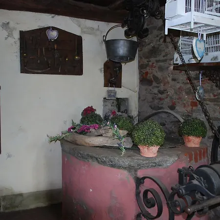 La Curandera 3*