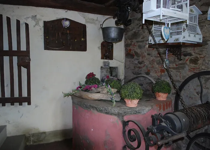 La Curandera 3*